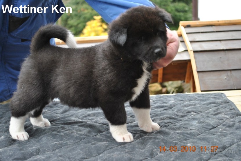 2010_03_14_Welpen 096