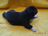 2009_10_05 007.jpg