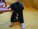 2009_10_05 011.jpg