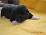 2009_10_05 124.jpg