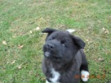 2010_04_04 097.jpg