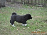 2010_04_04 126.jpg