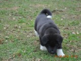2010_04_04 129.jpg