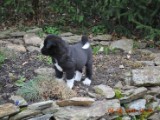 2010_04_04 177.jpg