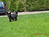 2010_05_24 032.jpg