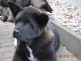 2010_05_24 079.jpg