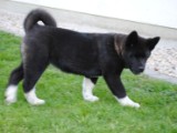 2010_05_24 430.jpg