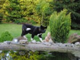 2010_05_24 512.jpg