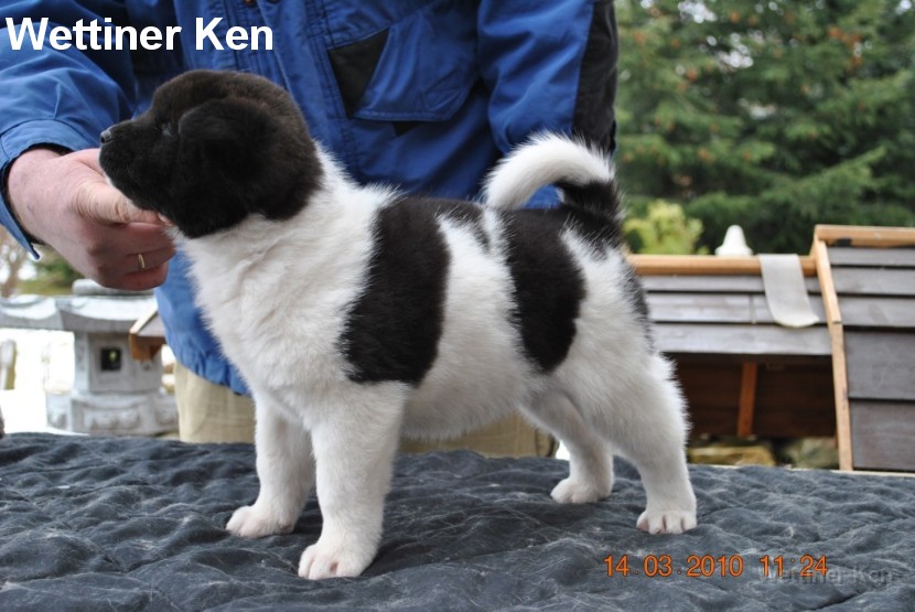 2010_03_14_Welpen 077