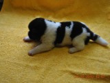 2009_10_05 049.jpg