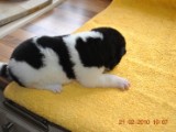 2009_10_05 050.jpg