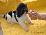 2009_10_05 058.jpg