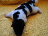 2009_10_05 069.jpg