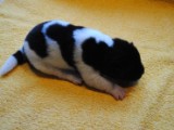2009_10_05 072.jpg