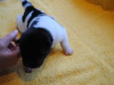 2009_10_05 074.jpg