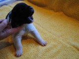 2009_10_05 079.jpg