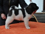 2010_03_21 081.jpg