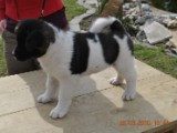 2010_03_28 301.jpg