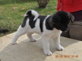 2010_03_28 315.jpg