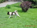 2010_05_24 102.jpg