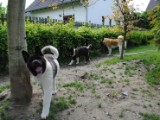 2010_05_24 173.jpg