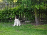 2010_05_24 457.jpg