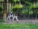 2010_05_24 469.jpg