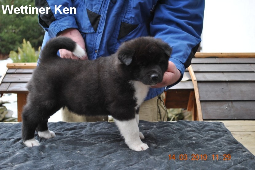 2010_03_14_Welpen 111