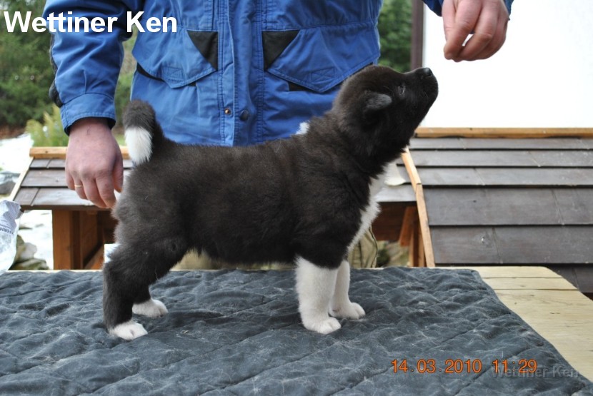 2010_03_14_Welpen 114