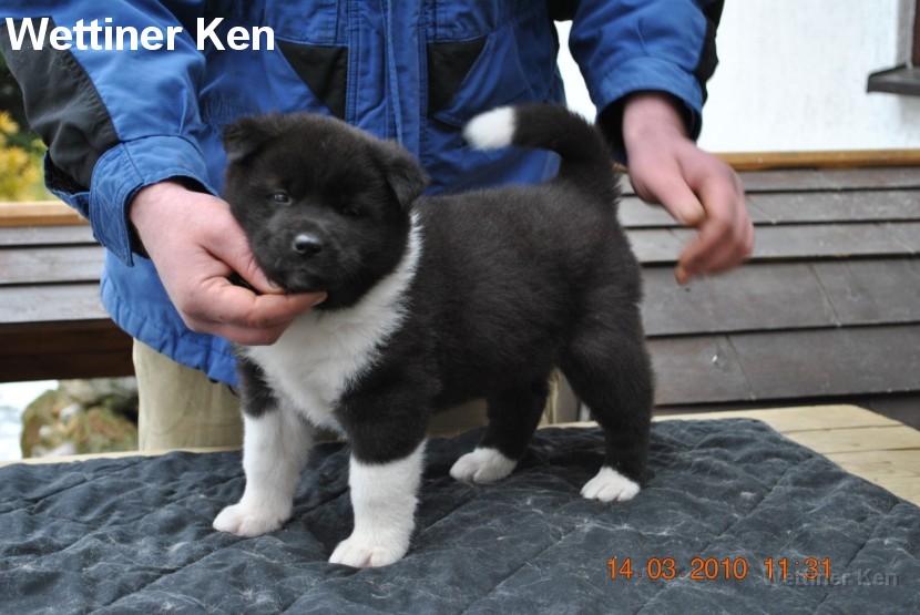 2010_03_14_Welpen 127