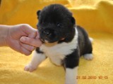 2009_10_05 093.jpg