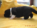 2009_10_05 097.jpg
