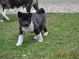 2010_04_04 087.jpg