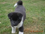 2010_04_04 088.jpg