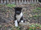 2010_04_04 182.jpg