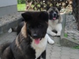 2010_05_24 066.jpg