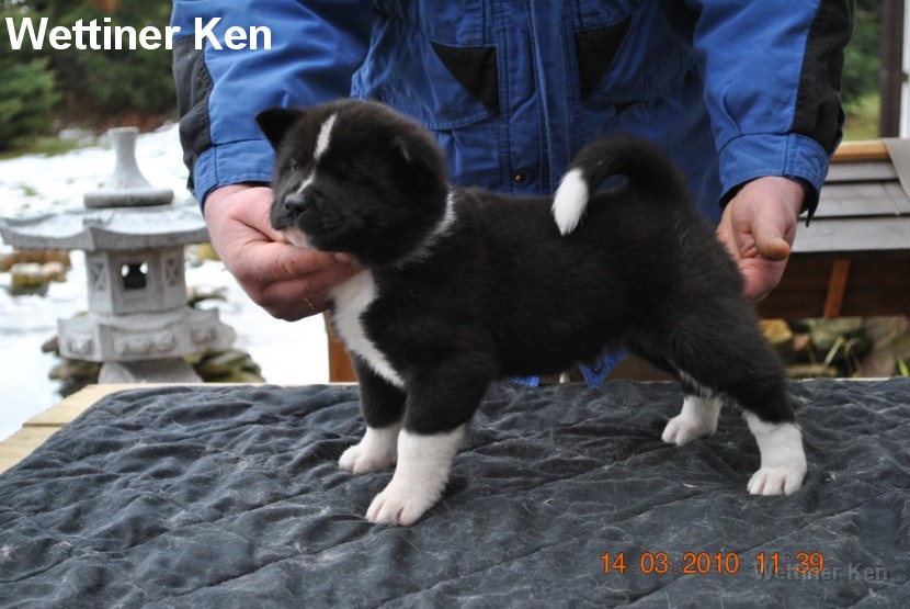 2010_03_14_Welpen 206