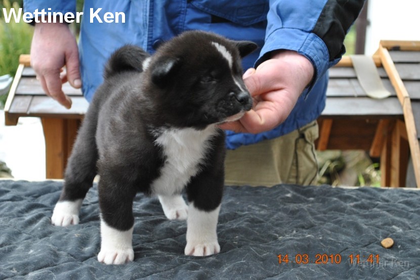 2010_03_14_Welpen 224