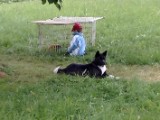 20062010272.jpg