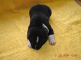 2009_10_05 020.jpg