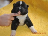 2009_10_05 027.jpg