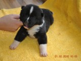 2009_10_05 030.jpg