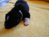 2009_10_05 045.jpg