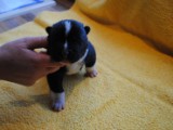 2009_10_05 051.jpg