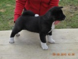 2010_03_28 255.jpg