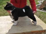 2010_03_28 265.jpg