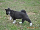 2010_04_04 137.jpg