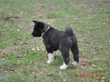 2010_04_04 138.jpg