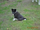 2010_04_04 144.jpg