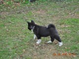 2010_04_04 150.jpg